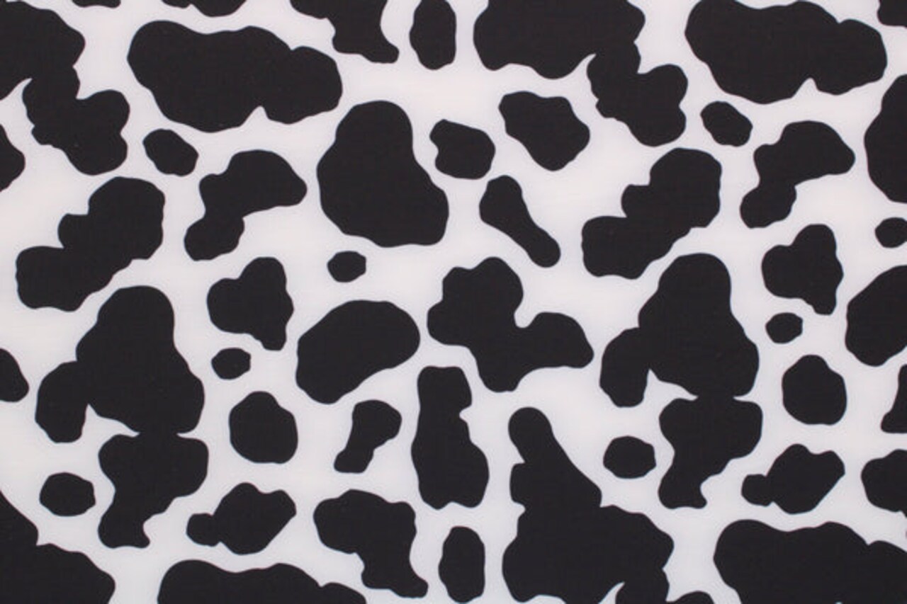 1 Yard Black and White Cow Print Stretch Fabric for Costume Swimwear Dancewear and Activewear 58/60" Width